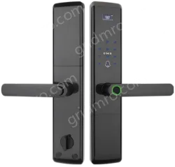 Smart door lock A81