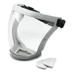 Face shield