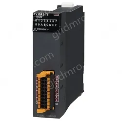 Mitsubishi Relay output module RY10R2-TS DC24V/2A AC240V/2A
