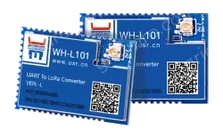 LoRa module